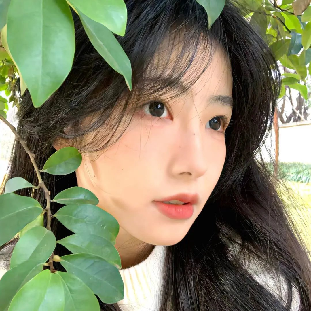 风雨送春归